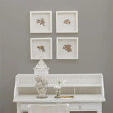 Farbe von Designers Guild - Grey Pearl No. 17 Designers Guild