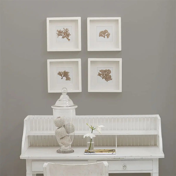 Farbe von Designers Guild - Grey Pearl No. 17 Designers Guild