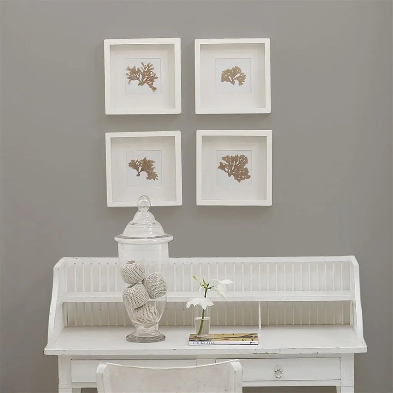Farbe von Designers Guild - Grey Pearl No. 17 Designers Guild