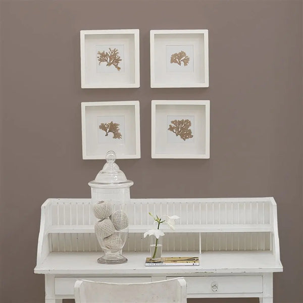 Farbe von Designers Guild - Moleskin No. 22 Designers Guild