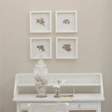 Farbe von Designers Guild - Pale Ash No. 12 Designers Guild