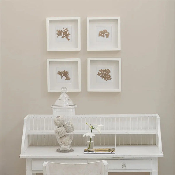 Farbe von Designers Guild - Pale Ash No. 12 Designers Guild