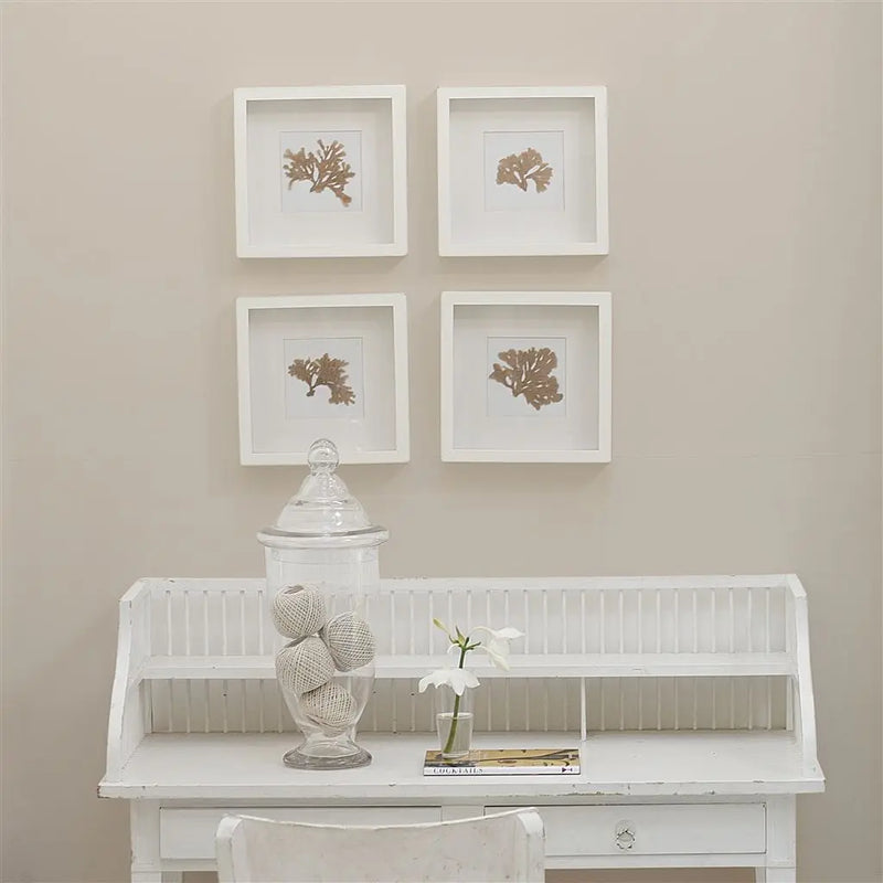 Farbe von Designers Guild - Pale Ash No. 12 Designers Guild