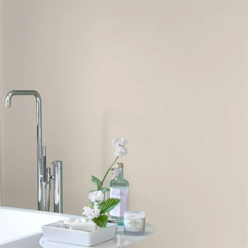 Farbe von Designers Guild - Pale Ash No. 12 Designers Guild