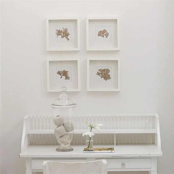 Farbe von Designers Guild - Plaster White No. 7 Designers Guild