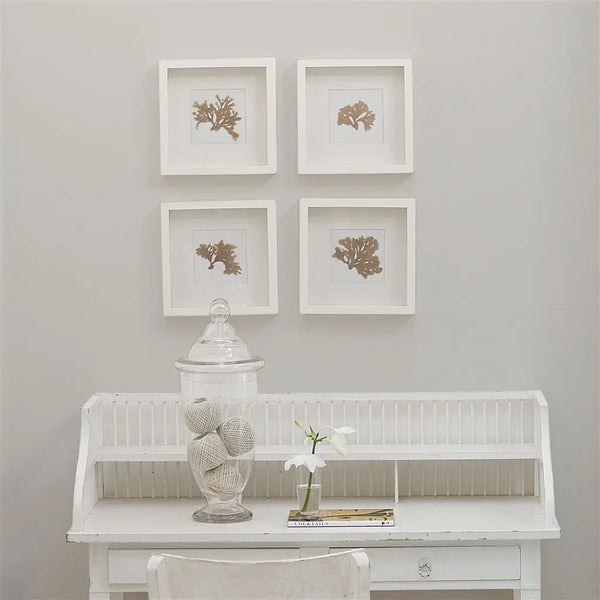 Farbe von Designers Guild - Polished Cement No. 21 Designers Guild