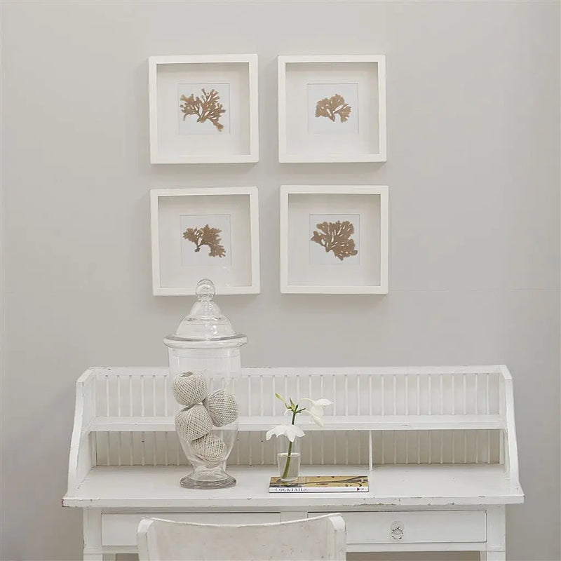 Farbe von Designers Guild - Polished Cement No. 21 Designers Guild