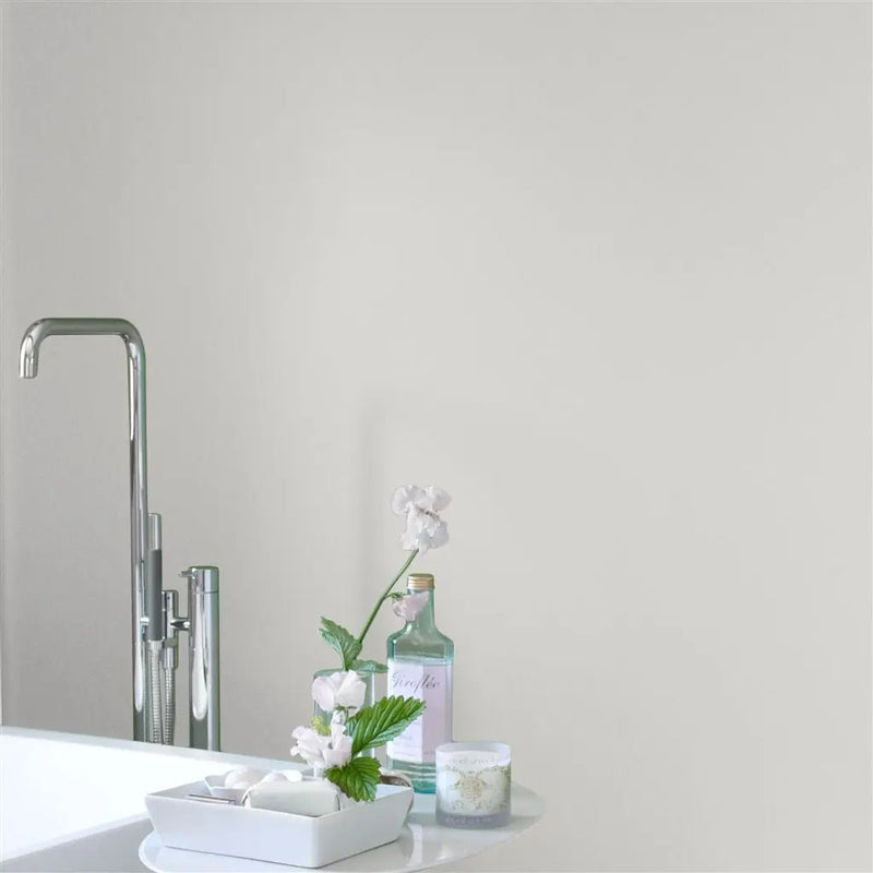 Farbe von Designers Guild - Polished Cement No. 21 Designers Guild