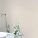 Farbe von Designers Guild - Silver Birch No. 13 Designers Guild