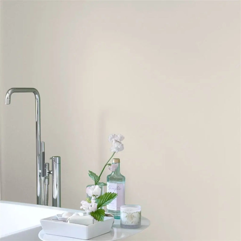 Farbe von Designers Guild - Silver Birch No. 13 Designers Guild
