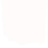 Farbe von Designers Guild - Snowdrift No. 6 Designers Guild
