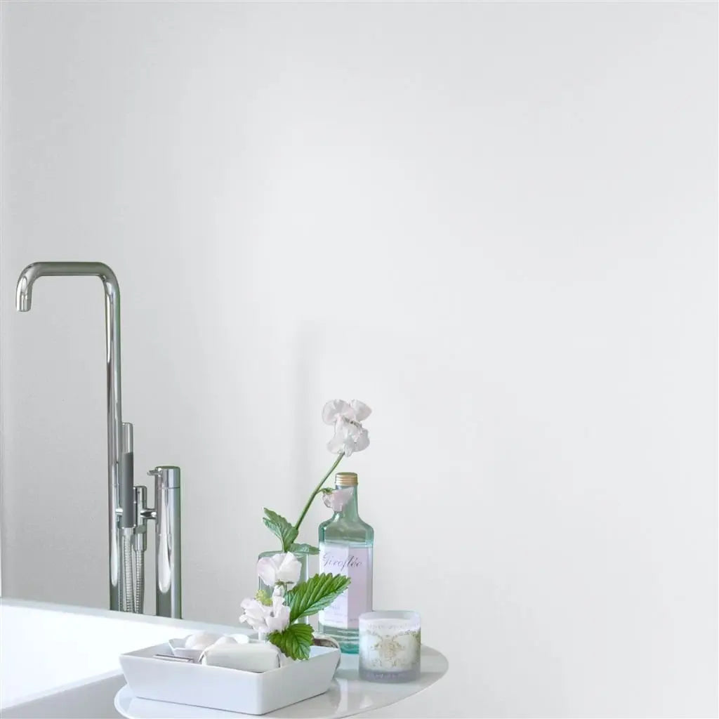 Farbe von Designers Guild - Whitewash No. 2 Designers Guild