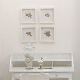 Farbe von Designers Guild  Perfect - Stucco White No. 5 Designers Guild