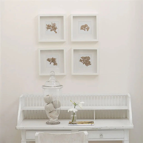 Farbe von Designers Guild  Perfect - Stucco White No. 5 Designers Guild