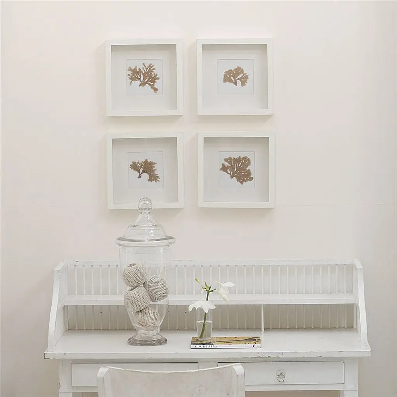 Farbe von Designers Guild  Perfect - Stucco White No. 5 Designers Guild