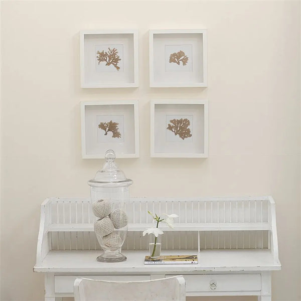 Farbe von Designers Guild: Venetian Lace No. 10 Designers Guild