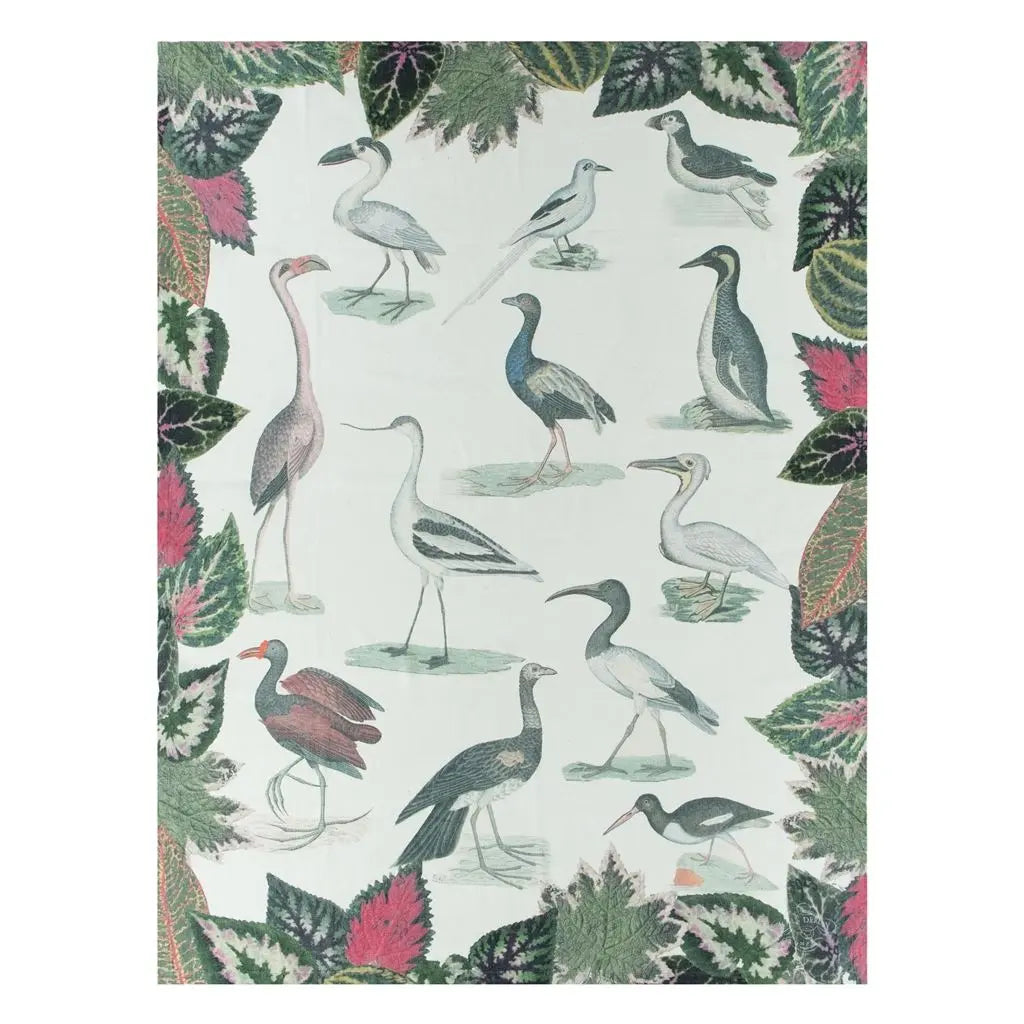 John Derian Birds Of A Feather Parchment Decke Designers Guild