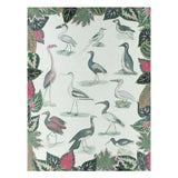 John Derian Birds Of A Feather Parchment Decke Designers Guild