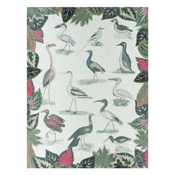John Derian Birds Of A Feather Parchment Decke Designers Guild