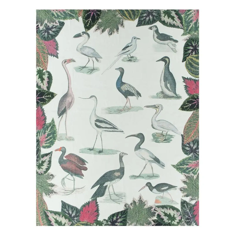 John Derian Birds Of A Feather Parchment Decke Designers Guild