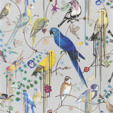Tapete von Christian Lacroix: Birds Sinfonia Designers Guild