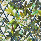 Tapete von Christian Lacroix: Canopy - Saphir Designers Guild