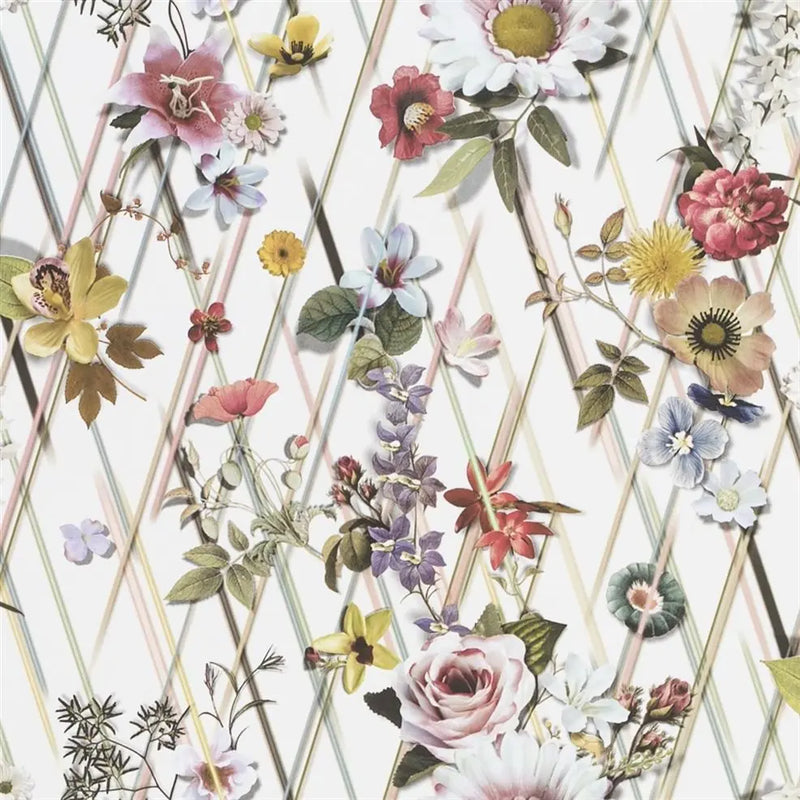 Tapete von Christian Lacroix Rocaille Designers Guild
