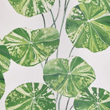 Tapete von Designers Guild: Brahmi Designers Guild
