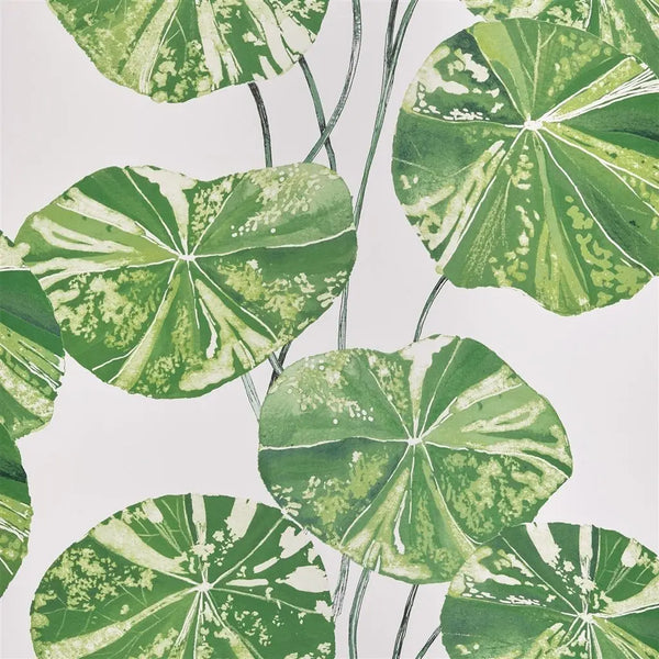 Tapete von Designers Guild: Brahmi Designers Guild