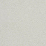 Tapete von Designers Guild: Ciottoli Designers Guild