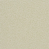 Tapete von Designers Guild: Ciottoli Designers Guild