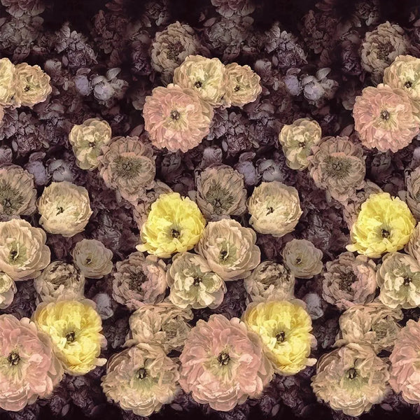 Tapete von Designers Guild: Le Poeme De Fleurs Designers Guild