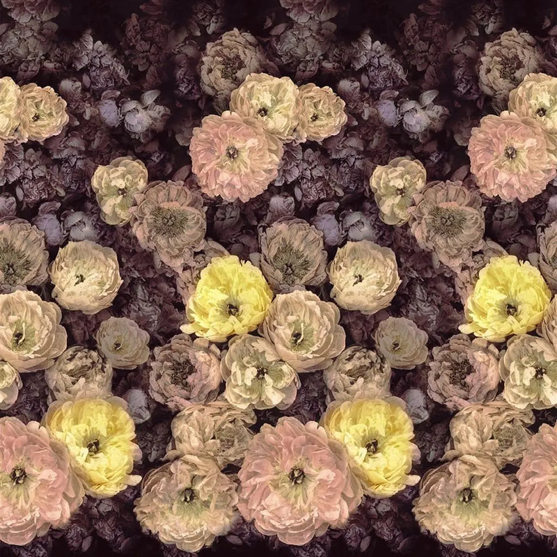 Tapete von Designers Guild: Le Poeme De Fleurs Designers Guild