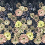 Tapete von Designers Guild: Le Poeme De Fleurs Designers Guild