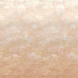 Tapete von Designers Guild Chettinad Shell Designers Guild