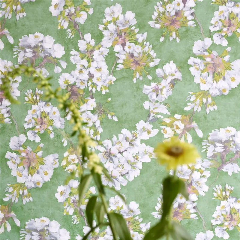 Tapete von Designers Guild Fleur D Assam Designers Guild