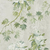 Tapete von Designers Guild Floreale Tapete Designers Guild