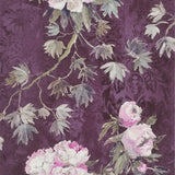 Tapete von Designers Guild Floreale Tapete Designers Guild