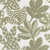 Tapete von Designers Guild Tanjore Designers Guild