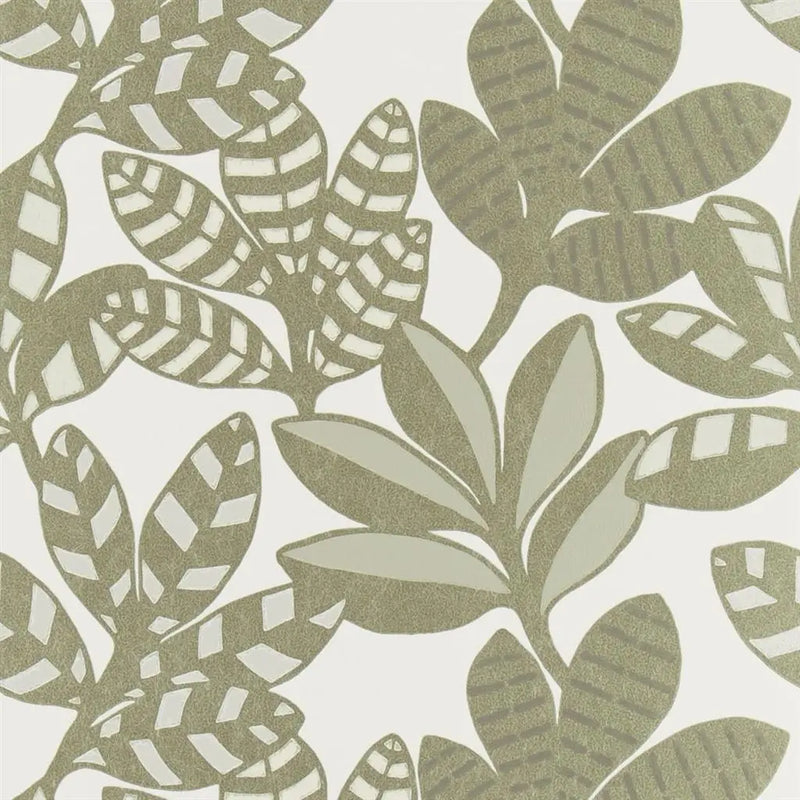 Tapete von Designers Guild Tanjore Designers Guild