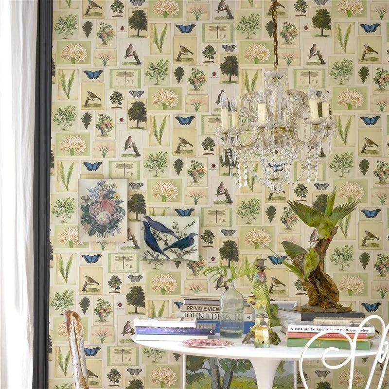 Tapete von John Derian: Flora And Fauna Designers Guild