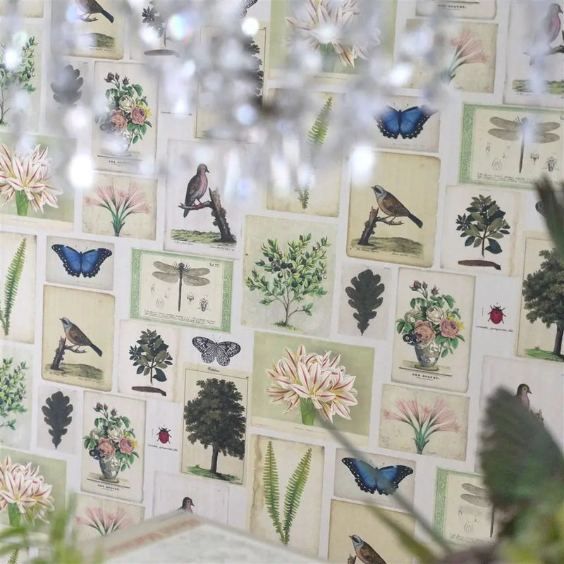 Tapete von John Derian: Flora And Fauna Designers Guild