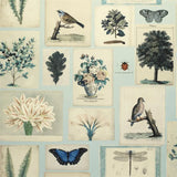 Tapete von John Derian: Flora And Fauna Designers Guild