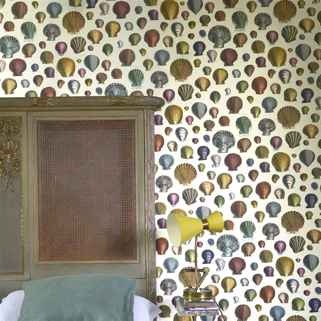Tapete von John Derian Captain Thomas Browns Shells Sepia Designers Guild