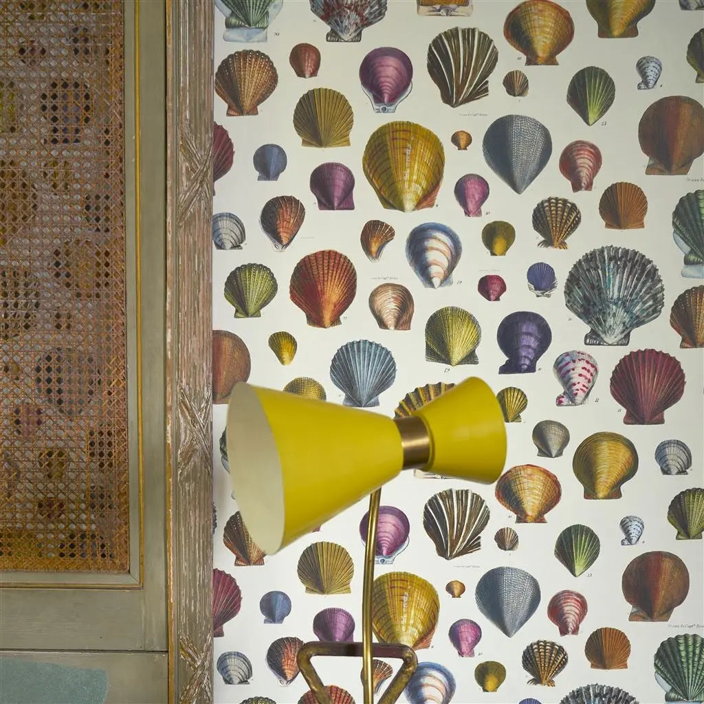 Tapete von John Derian Captain Thomas Browns Shells Sepia Designers Guild
