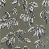 TapeteDesigners Guild Jangal Designers Guild