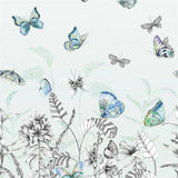 Tapeten von Designers Guild:  Papillons Eau De Nil Designers Guild