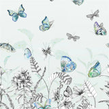 Tapeten von Designers Guild:  Papillons Eau De Nil Designers Guild